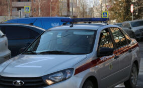 Иностранец камнем разбил окно в квартире своей бывшей сожительницы