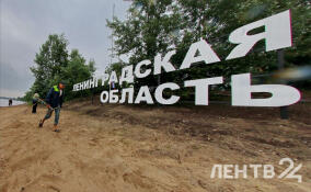 Без осадков и до +16 градусов: о погоде в Ленобласти 14 апреля