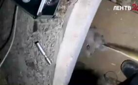 Сотрудники «Кошкиспаса» достали кота, который двое суток провел в вентиляционной шахте жилого дома в Волхове