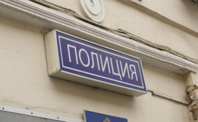 Жителя Выборгского района задержали за избиение супруги