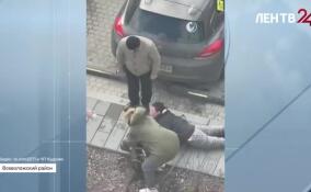 Жители Янино едва смогли разнять своих собак
