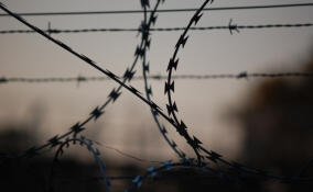 В Ломоносовском районе вымогателя отправили в колонию на 4,5 года