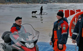 В Ленобласти за сезон паводков погибли 20 человек