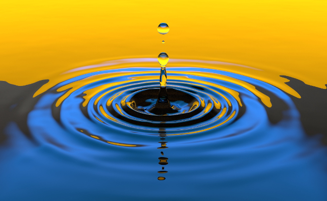 В реке Сясь обнаружили труп