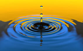 В реке Сясь обнаружили труп