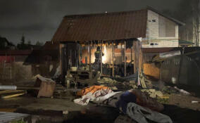 Во Всеволожском районе полыхали 120 «квадратов»