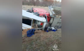 ДТП под Кингисеппом унесло жизни двух человек