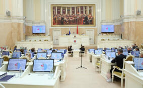 Политолог Дмитрий Солонников вошел в состав Общественной палаты Санкт-Петербурга