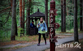 Небольшие дожди и до +18 градусов: о погоде в Ленобласти 15 апреля