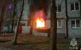 Человеческие останки нашли после пожара в Гатчинском округе