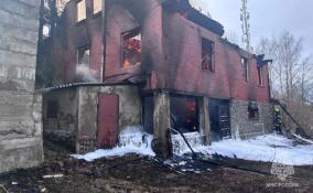 Три человека пострадали при пожаре в садоводстве во Всеволожском районе