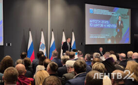 Над Ленобластью с начала года сбили 343 вражеских беспилотника