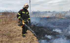 На учениях в Путилово отработали ликвидацию природных пожаров