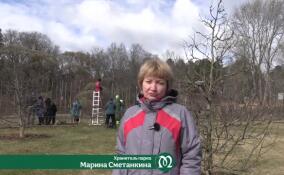 В парке Монрепо стартовало весеннее преображение яблонь
