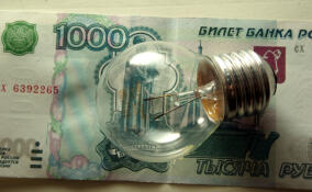 Жителям Ленобласти напомнили о новых правилах льготных тарифов на электроэнергию