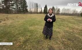 Анна Тарануха из Пушкина вышла в финал всероссийского конкурса «Голоса Победы»