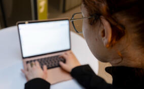 В Ленобласти растёт рынок удалённой работы