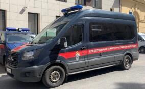 Подростка задержали за разбойное нападение на сверстника в Ломоносовском районе