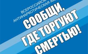 Первый этап акции «Сообщи, где торгуют смертью» пройдет в Ленобласти с 20 по 30 апреля