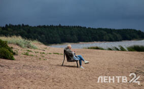 Небольшие дожди и до +17 градусов: о погоде в Ленобласти 17 апреля