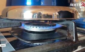 Подключение СНТ, тарифы и субсидии: вопросы газификации Ленобласти обсудили на пресс-клубе