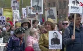 Акция «Бессмертный полк» пройдет по всей Ленобласти очно