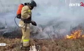 В Ленобласти официально начался пожароопасный сезон
