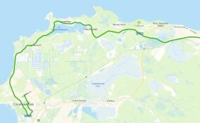 Автобус №403 «Сосновый Бор – Санкт-Петербург» изменит схему движения и расписание