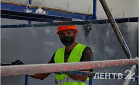 Более 630 иностранцев выдворили из Ленобласти с начала года