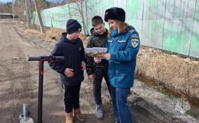 Сотрудники МЧС объяснили детям Приозерского района, чем опасен пал травы