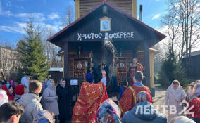 Крестный ход, игры и обмен опытом: во Всеволожском районе завершилась Светлая седмица