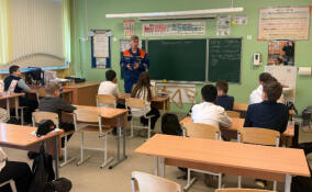 Спасатели Тосненского района рассказали школьникам о правилах поведения на водоемах и в лесу