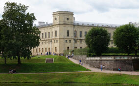 Облачно, но сухо: синоптики рассказали о погоде в Ленинградской области на 20 апреля