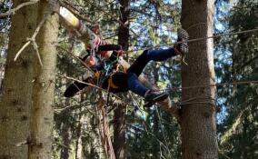 Соревнования по спортивному туризму «Все в связке» в Токсово объединили более 500 спортсменов