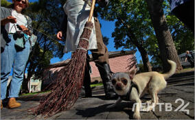 Без осадков и до +13 градусов: о погоде в Ленобласти 20 апреля