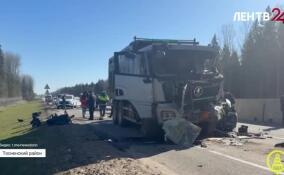 Число пострадавших в массовом ДТП в Тосненском районе Ленобласти выросло до 13 человек