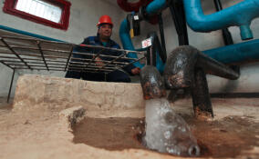 Более 24 тысяч жителей Тосненского района остались без холодной воды из-за аварии