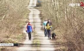 В Выборгском районе собаки прошли отбор в ПСО «Экстремум»
