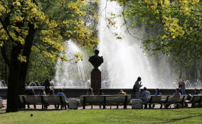 В Петербурге на 80 гектаров увеличат зеленые зоны