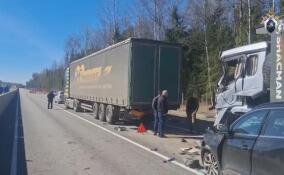 По факту массовой аварии в Тосненском районе возбуждено уголовное дело