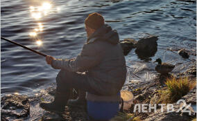 До -9 ночью и до +15 днем: прогноз погоды в Ленобласти на 21 апреля