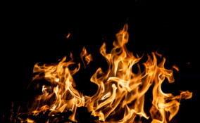 В деревне под Кингисеппом огонь уничтожил частный дом и автомобиль