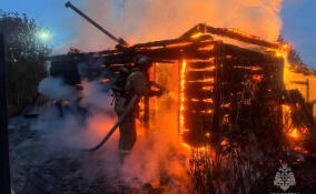 Несколько домов в садоводстве под Гатчиной уничтожил огонь