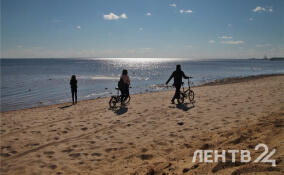 Тепло и без дождей: о погоде в Ленобласти 21 апреля