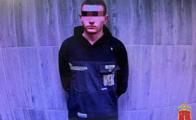 Жителя Мурино задержали за обман петербургской пенсионерки на сумму более миллиона рублей