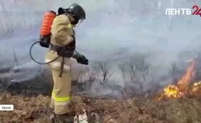 Жженая трава, брошенный окурок, шашлыки: как не сжечь леса и поля в пожароопасный сезон?