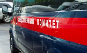 Жителя Приморска обвиняют в гибели знакомого
