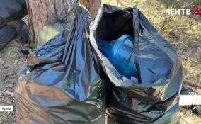 За первую неделю месячника по благоустройству в Ленобласти очистили около ста локаций