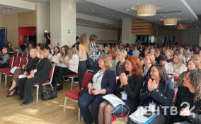 В Петербурге и Ленобласти проходит конференция «Векторы развития педагогики Ф. Фрёбеля»