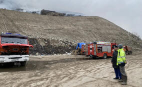 Росприроднадзор хочет провести внеплановую проверку мусорной свалки в Лепсари